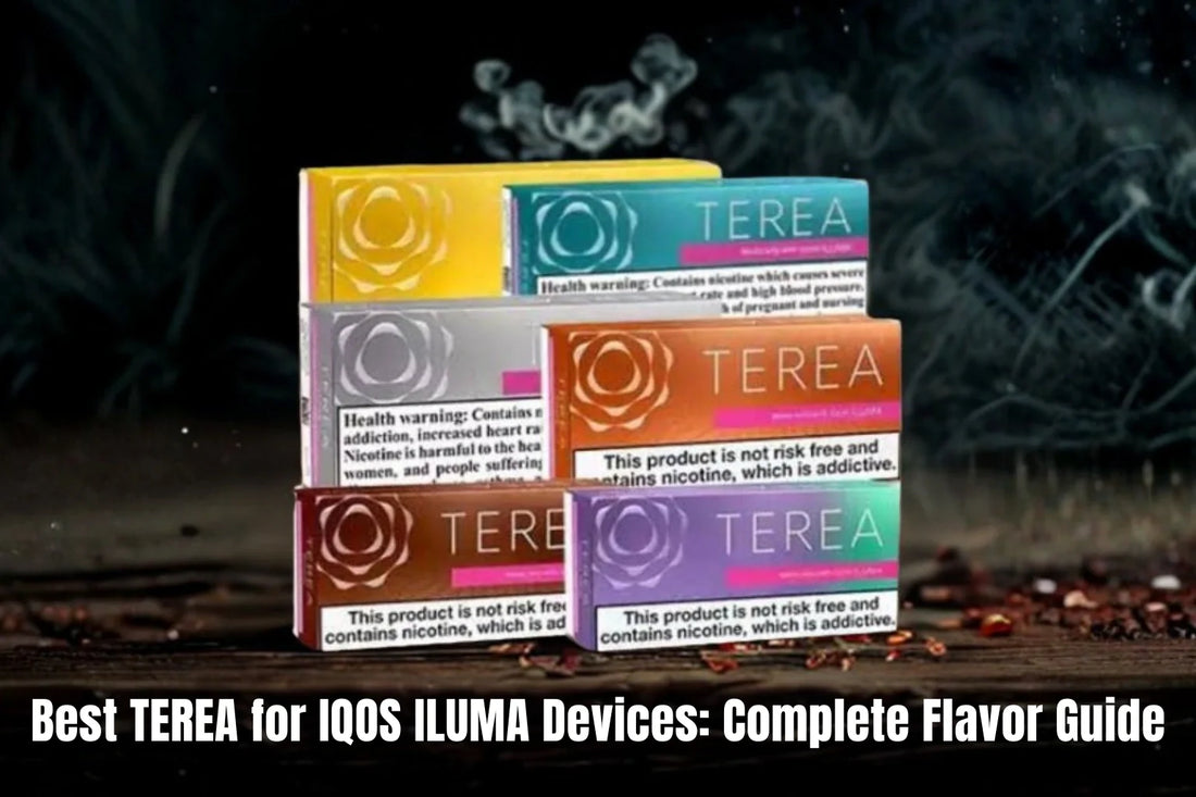 Best TEREA for IQOS ILUMA Devices: Complete Flavor Guide