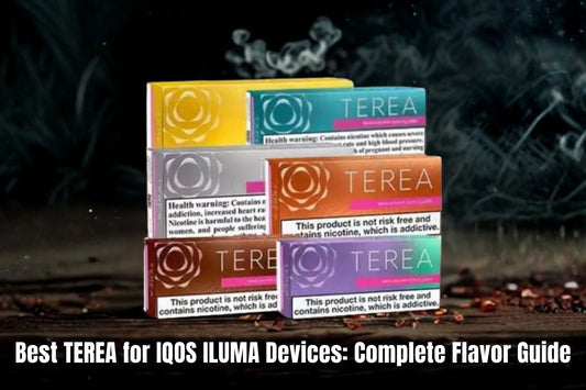 Best TEREA for IQOS ILUMA Devices: Complete Flavor Guide