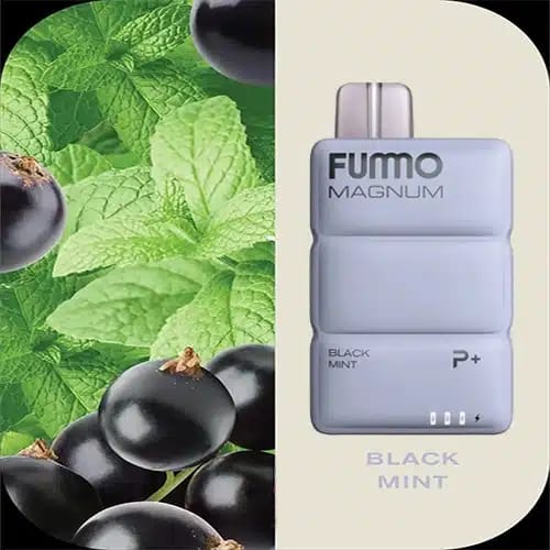 Fummo Magnum 8000 Puffs Disposable Vape 20mg Nicotine with Black Mint Flavor