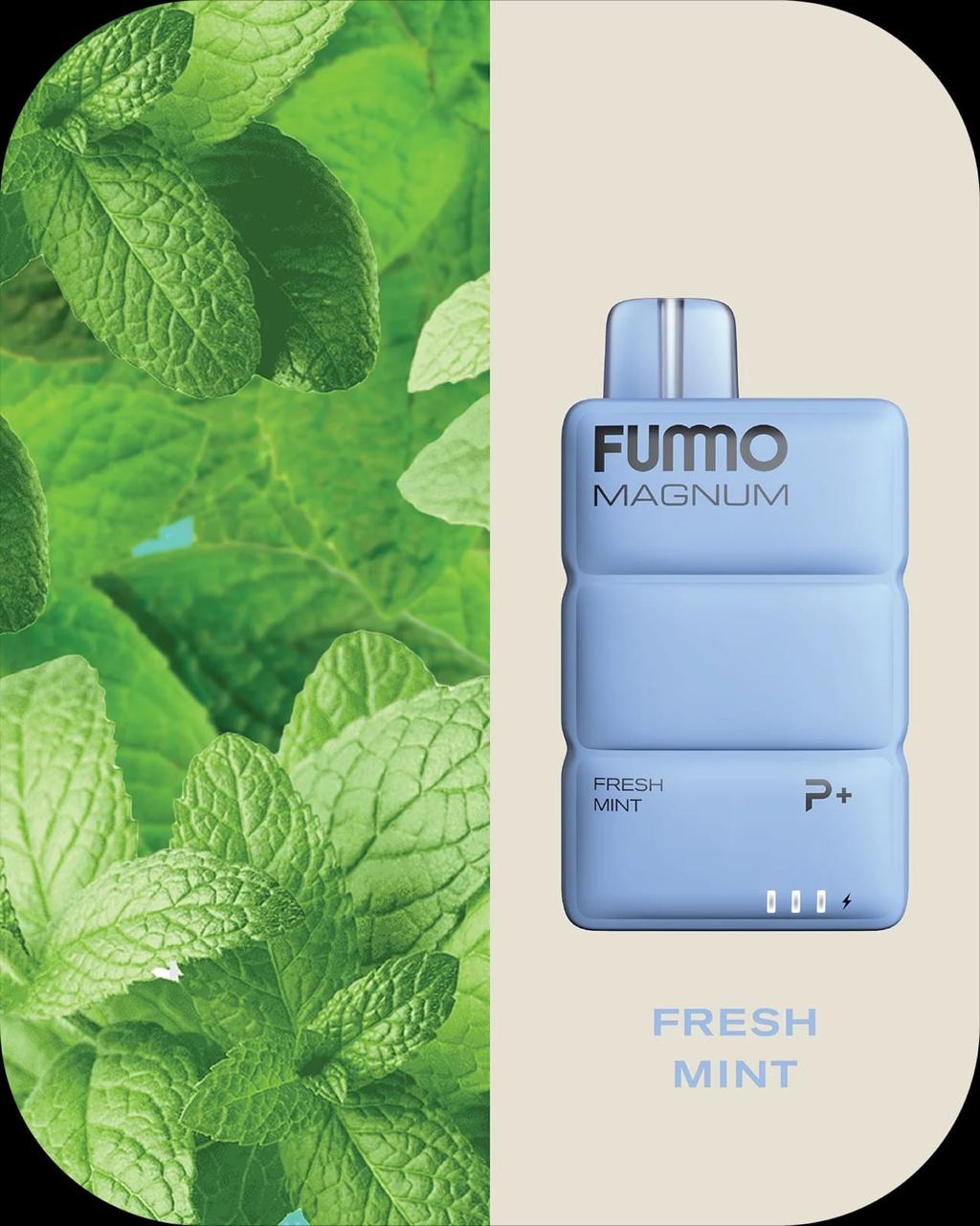 Fummo Magnum 8000 Puffs Disposable Vape 20mg Nicotine with Fresh Mint Flavor