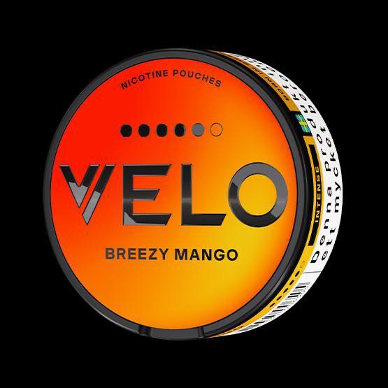 Orange packaging of VELO nicotine pouches with 'Breezy Mango' flavor on a black background