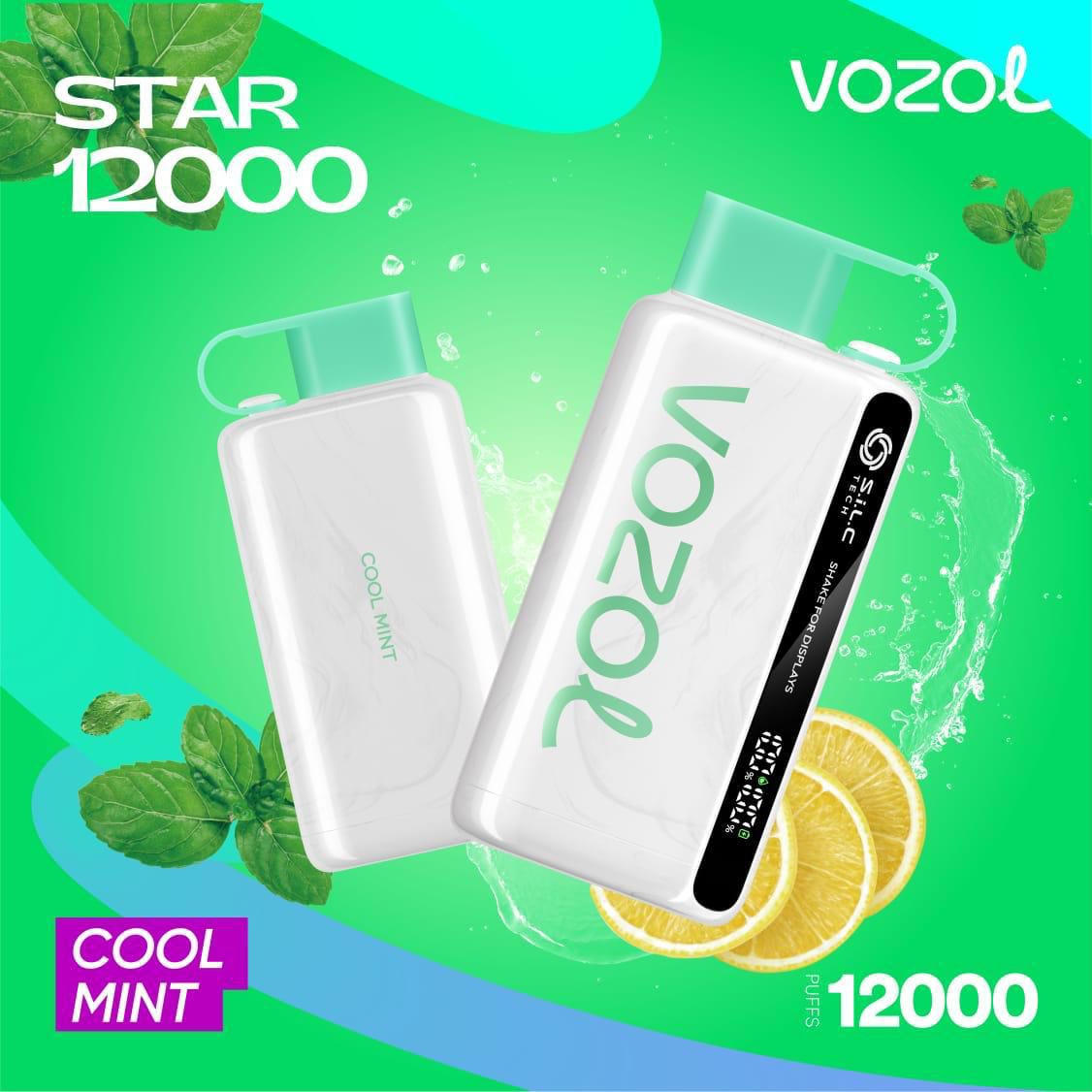 Vozol Star 12000 Puffs Disposable Vape device with Cool Mint flavor
