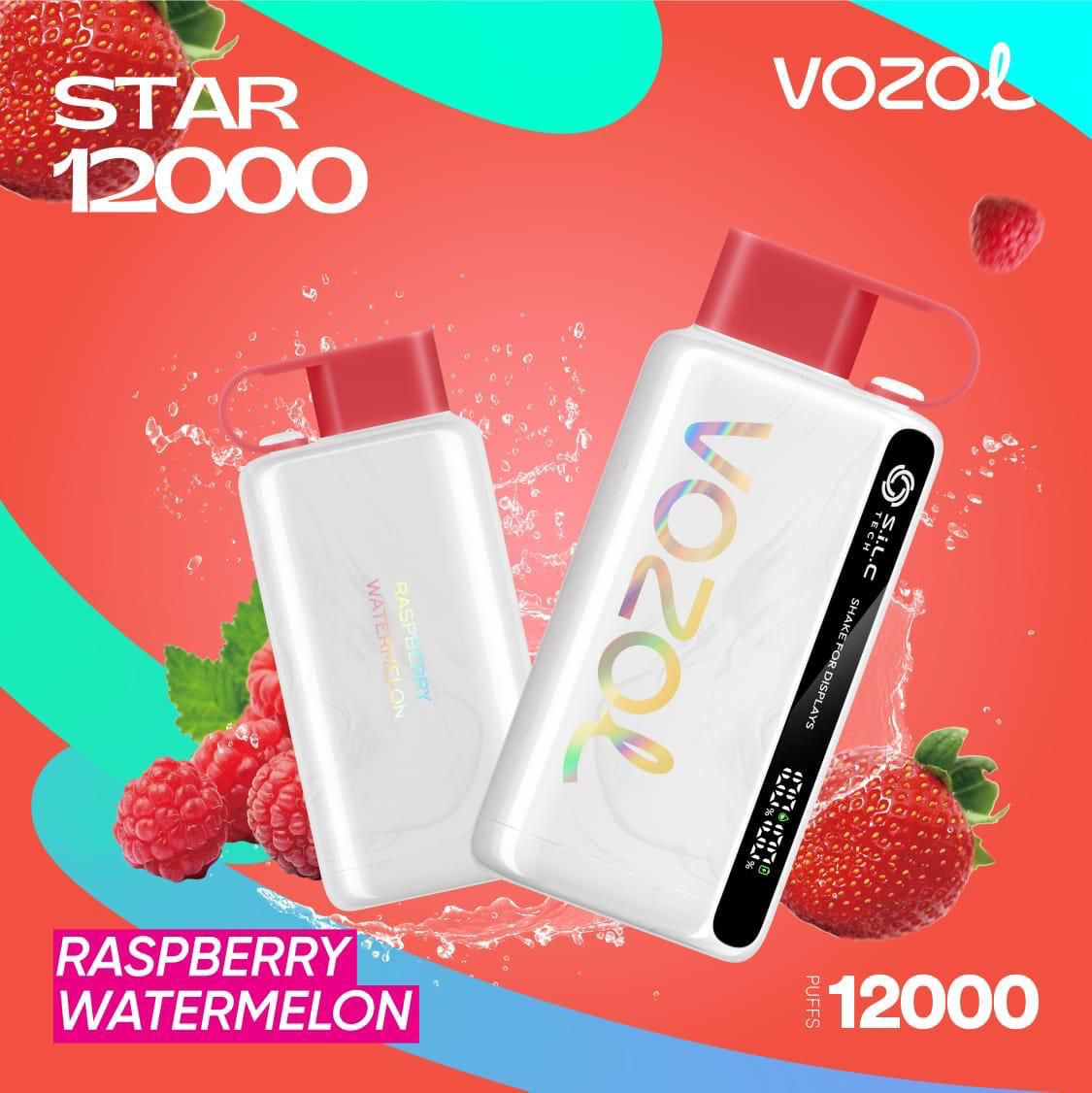 Vozol Star 12000 Puffs Disposable Vape device with Raspberry Watermelon flavor