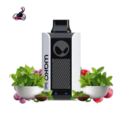 Waka SoPro PA10000 Puffs 50mg in Dubai, UAE